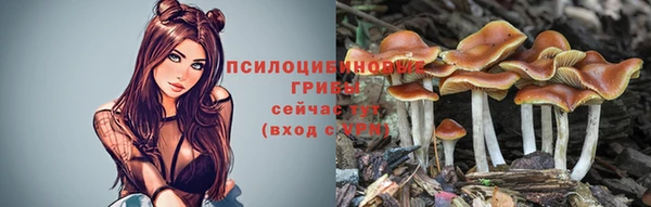 а пвп мука Бронницы