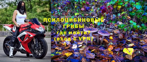 молекула духа Лихославль