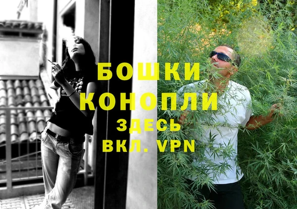 молекула духа Лихославль