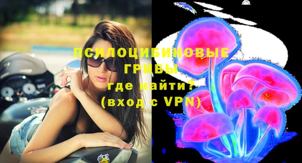молекула духа Лихославль