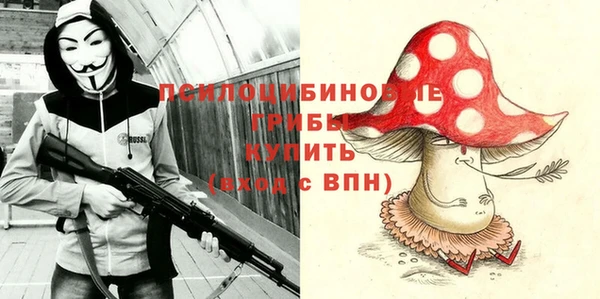 ГАЛЛЮЦИНОГЕННЫЕ ГРИБЫ Липки