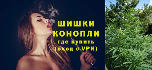 ГАЛЛЮЦИНОГЕННЫЕ ГРИБЫ Липки