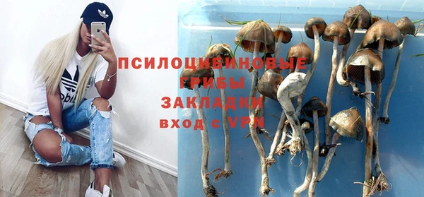 ГАЛЛЮЦИНОГЕННЫЕ ГРИБЫ Липки