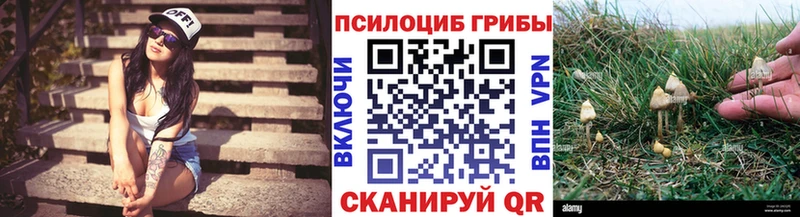 Псилоцибиновые грибы мицелий  Никольск 